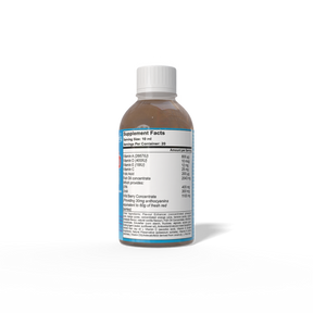 MegaKid Omega-3 Liquid
